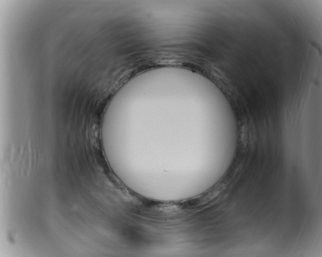 X0000099530322200805160731
