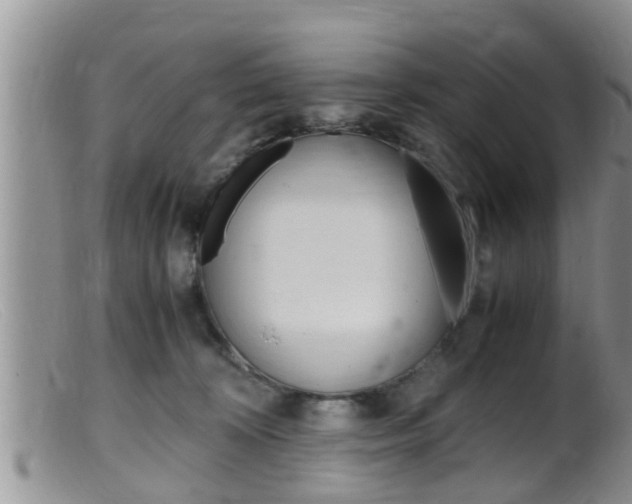 X0000099530324200805160731