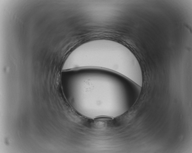 X0000099530325200805160731