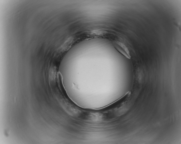 X0000099530328200805160731