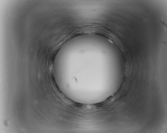 X0000099530329200805160731
