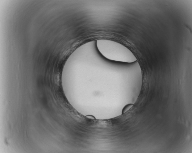 X0000099530330200805160731
