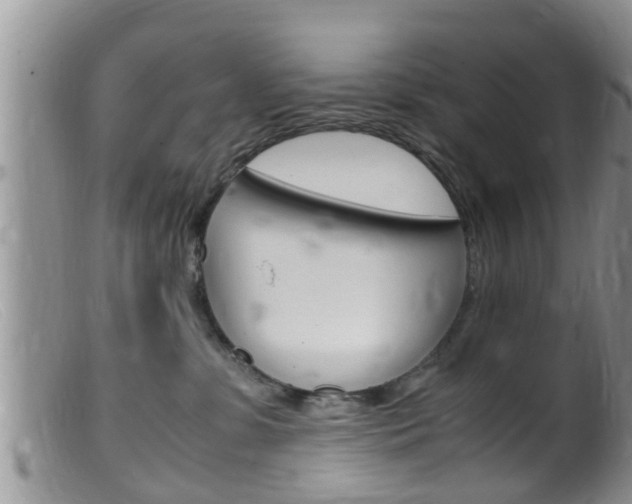 X0000099530331200805160731