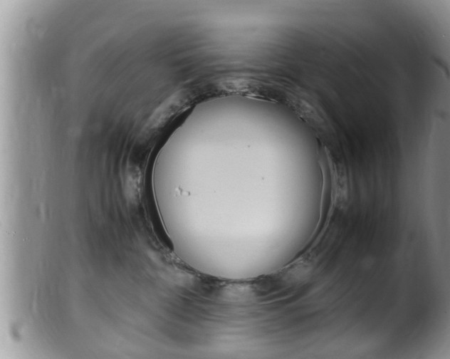 X0000099530332200805160731
