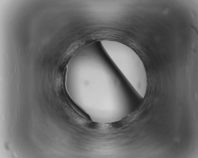 X0000099530333200805160731