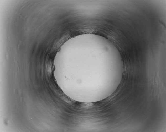X0000099530334200805160731