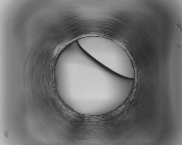 X0000099530337200805160730