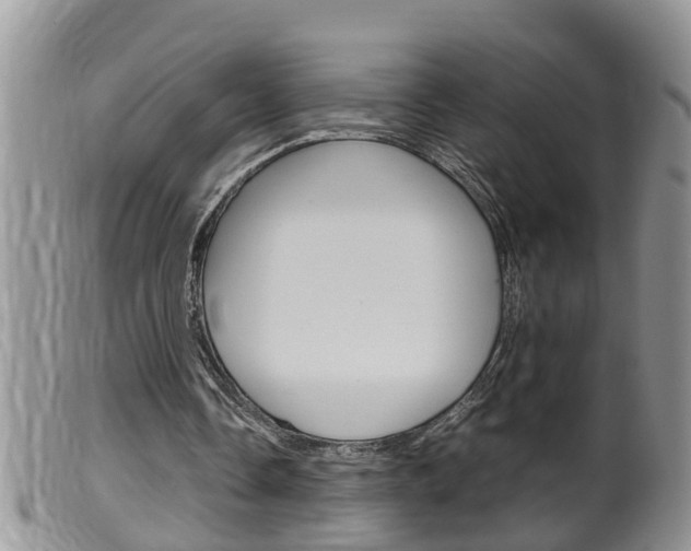 X0000099530338200805160730