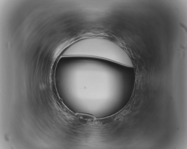 X0000099530340200805160730