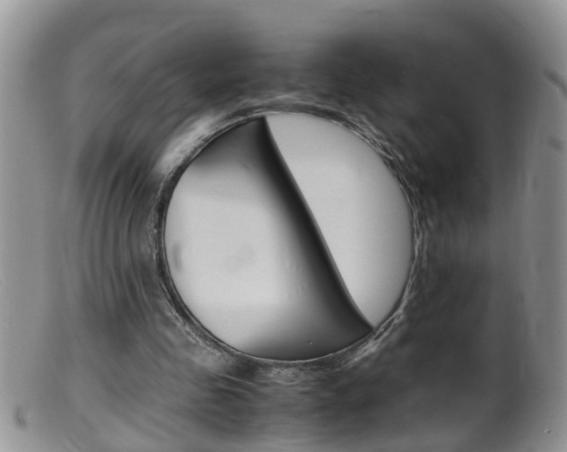 X0000099530341200805160730