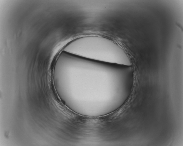 X0000099530342200805160730