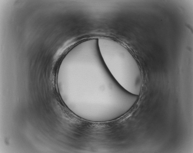 X0000099530343200805160730