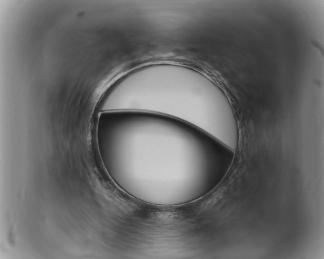 X0000099530344200805160730