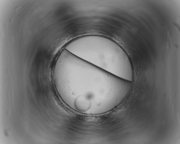 X0000099530347200805160730