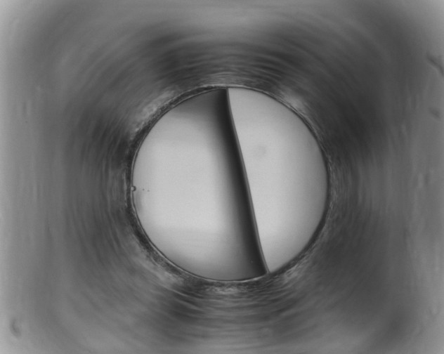 X0000099530349200805160731
