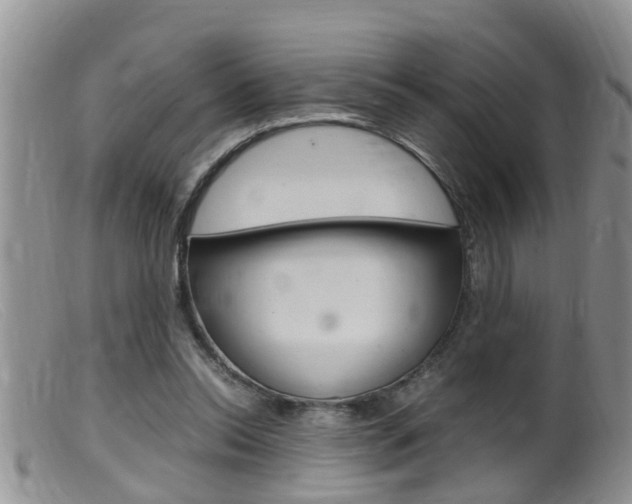 X0000099530350200805160731