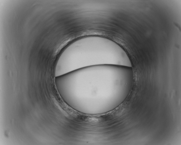 X0000099530352200805160731