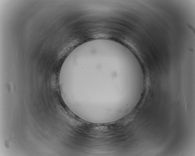 X0000099530353200805160731