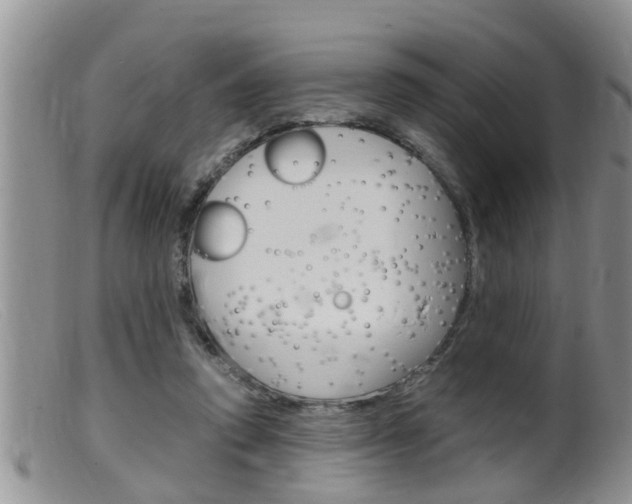 X0000099530354200805160731