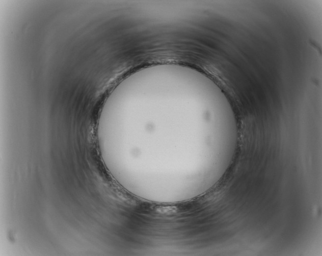 X0000099530355200805160731
