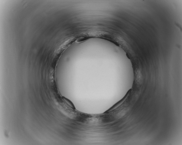 X0000099530356200805160731