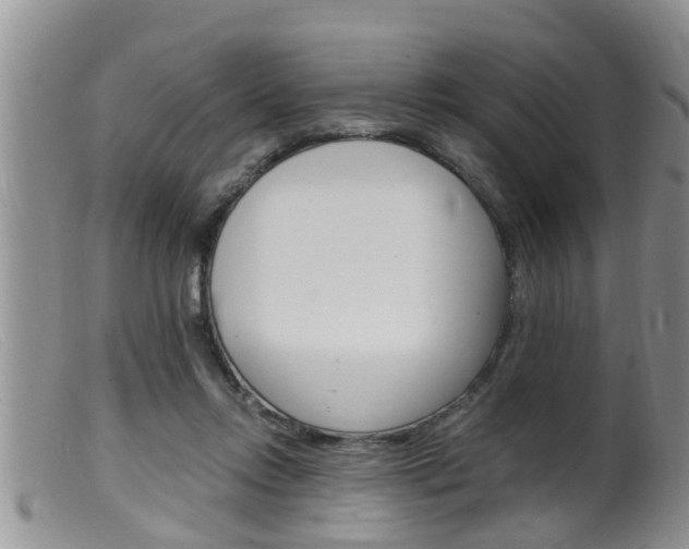 X0000099530358200805160731
