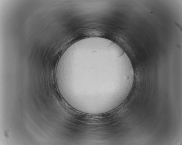 X0000099530359200805160731