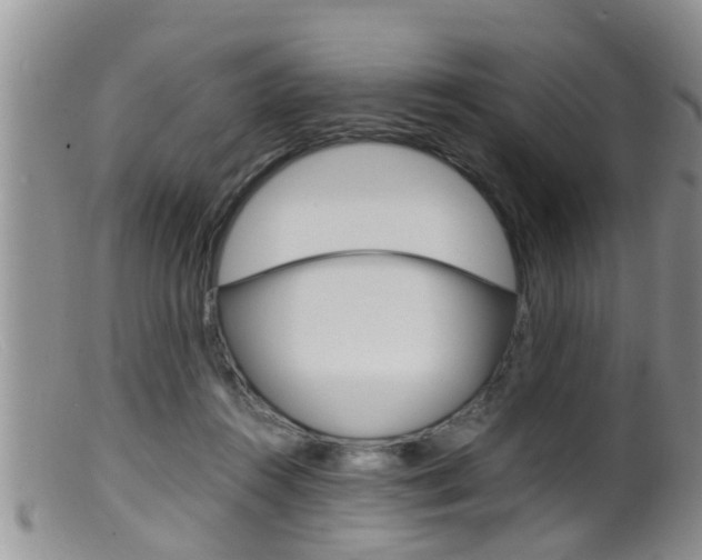 X0000099530360200805160731