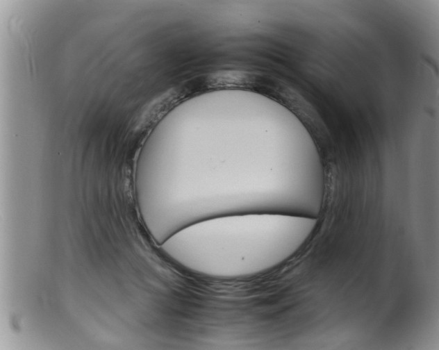 X0000099530361200805160731