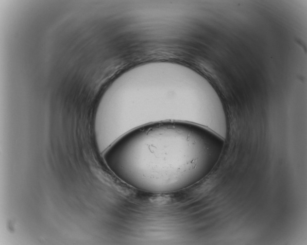 X0000099530362200805160731