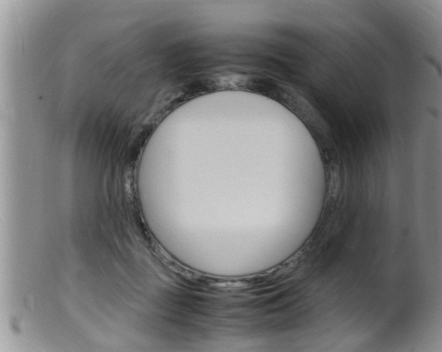 X0000099530363200805160731