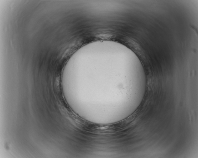 X0000099530365200805160731