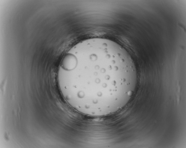 X0000099530366200805160731