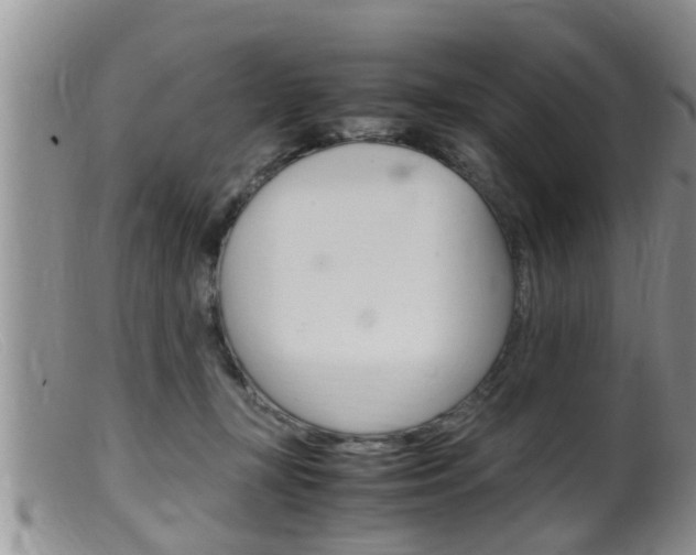 X0000099530367200805160731