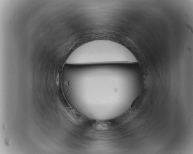X0000099530368200805160731