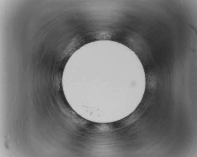 X0000099530370200805160731