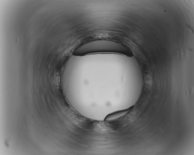 X0000099530372200805160731
