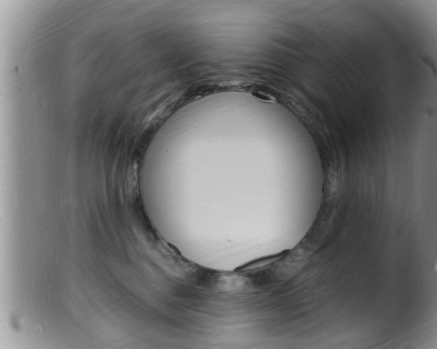 X0000099530376200805160731