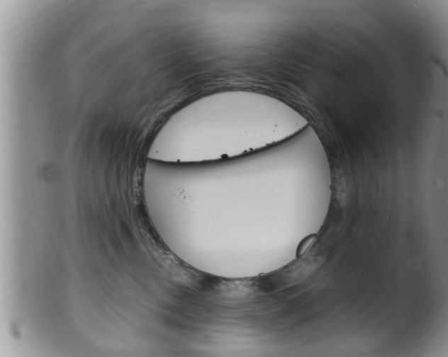 X0000099530378200805160731