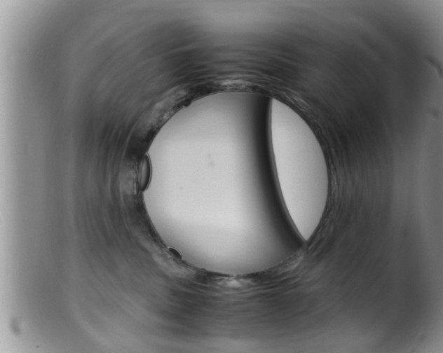 X0000099530379200805160731