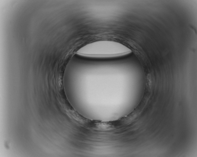 X0000099530380200805160731