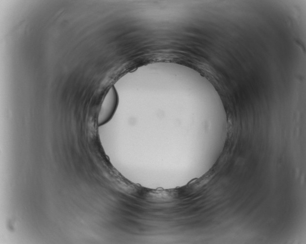X0000099530381200805160731