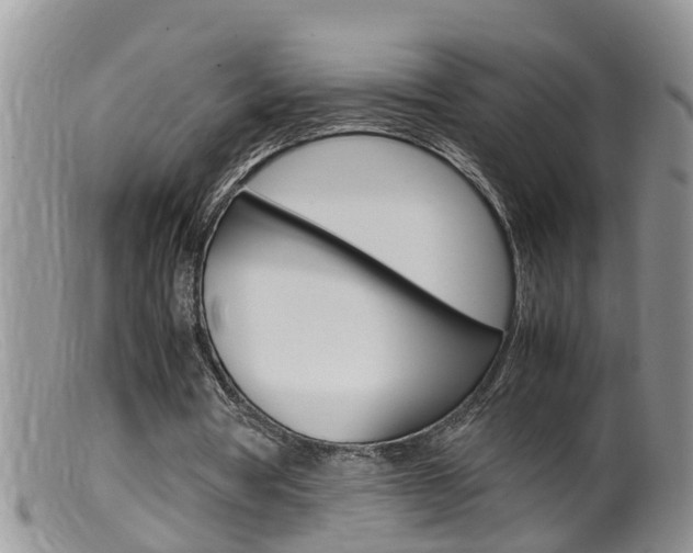 X0000099530386200805160730