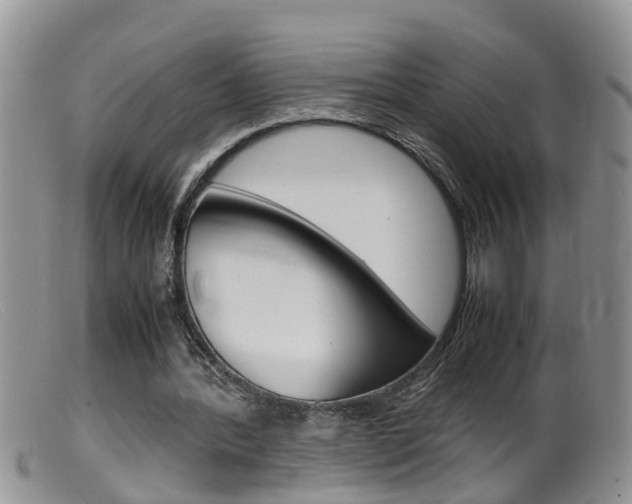 X0000099530388200805160730