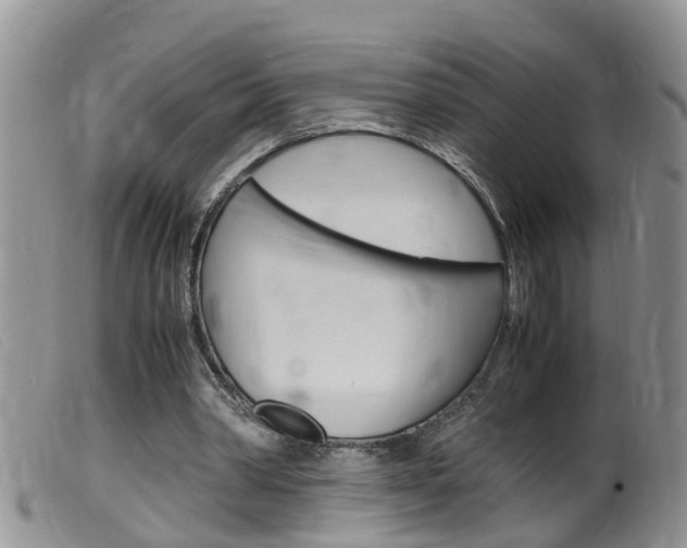 X0000099530390200805160730