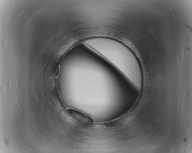 X0000099530393200805160730