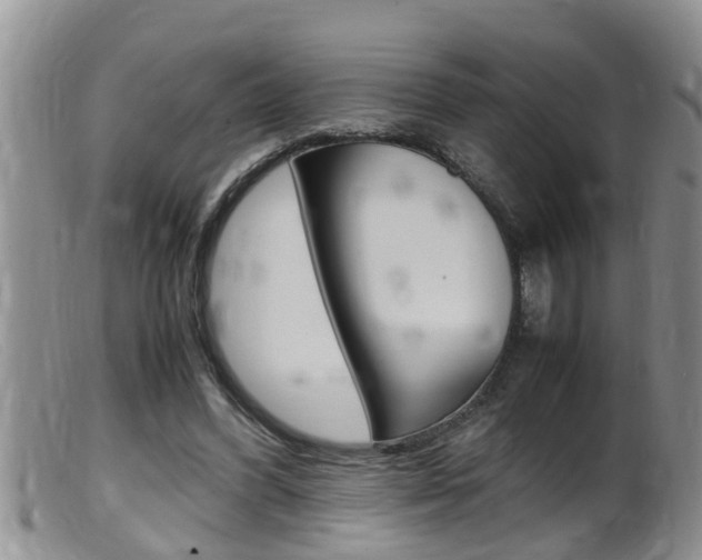 X0000099530396200805160730