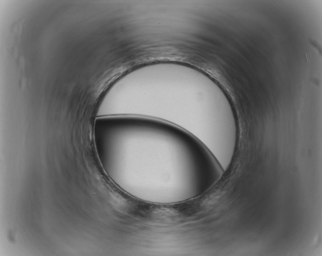 X0000099530397200805160730