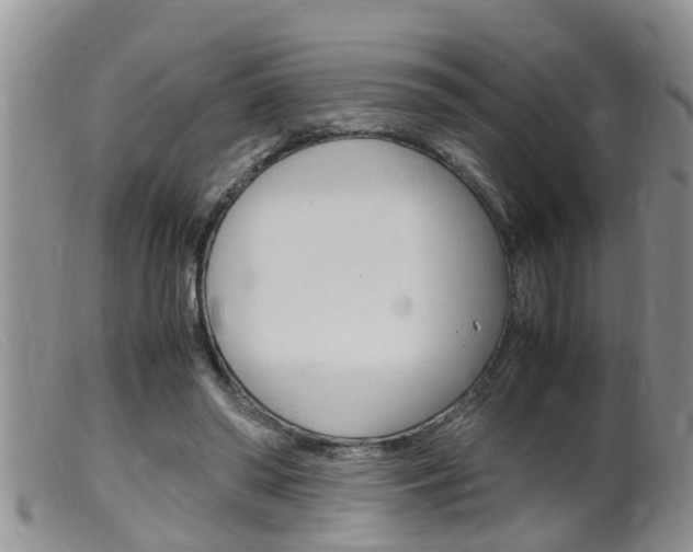 X0000099530398200805160730