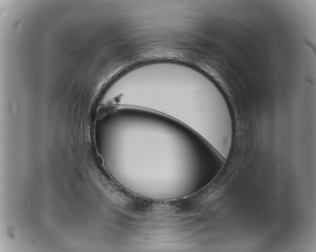 X0000099530399200805160730
